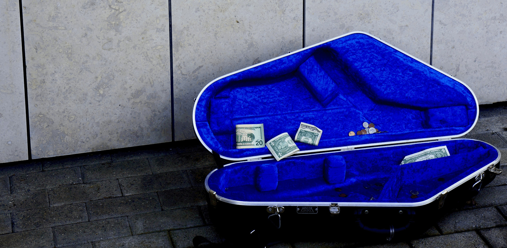 Hands holding a small yellow flower